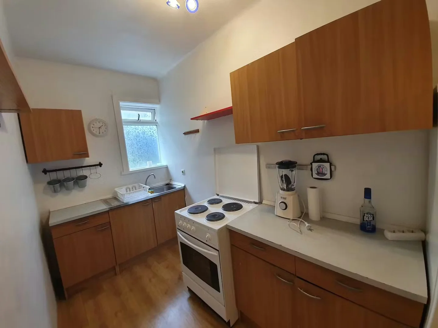 Affordable room for students with ample lighting in
