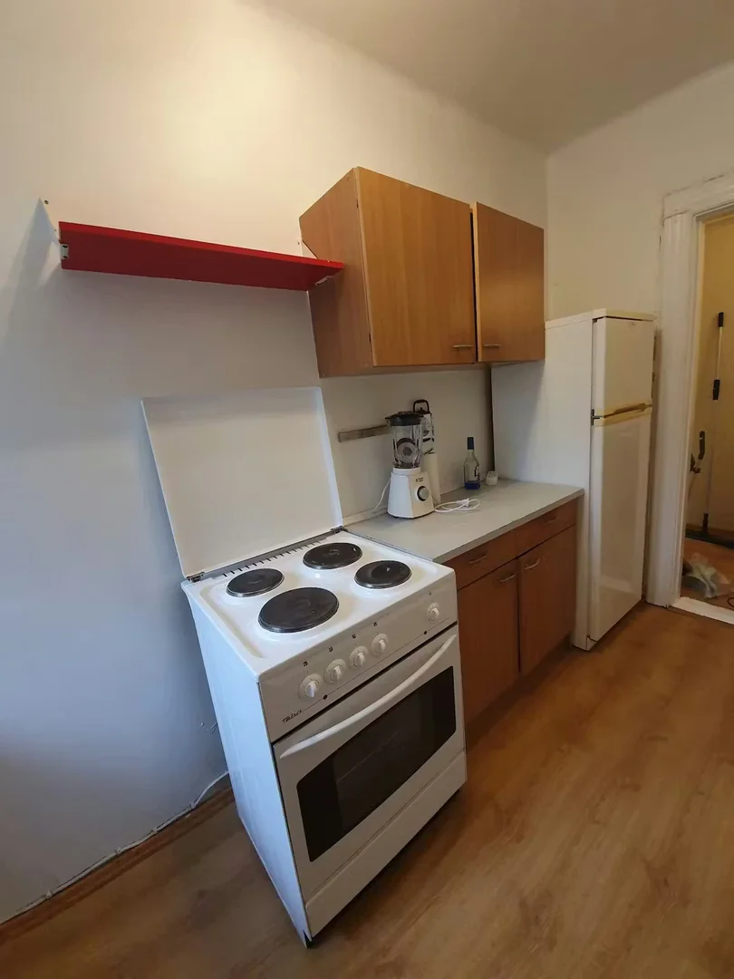 Student-friendly room in with modern amenities
