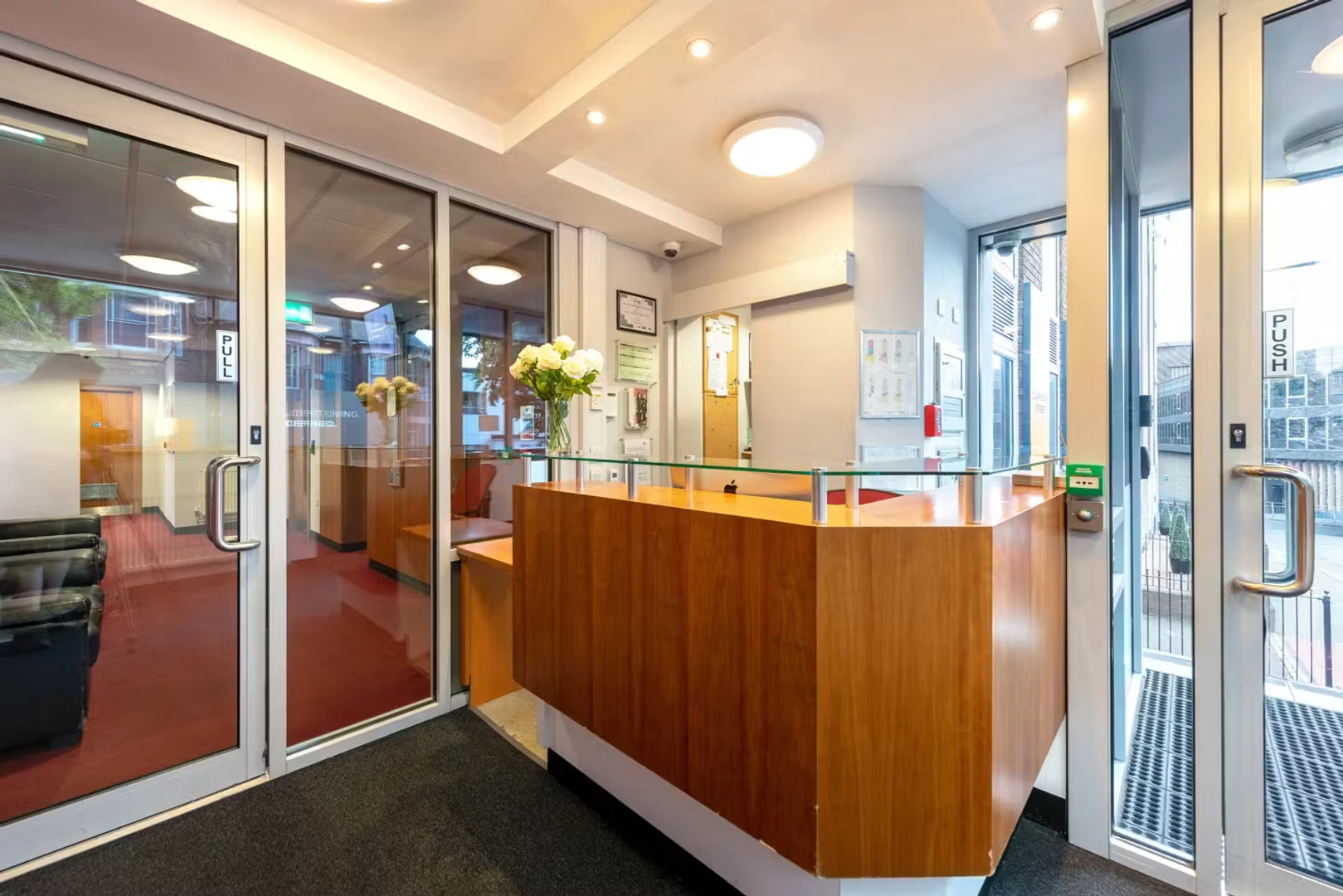 Affordable room for students with ample lighting in 