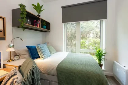 Stanza privata in 315-349 Mill Road, Cambridge, CB1 3DL, immagine 21 di 27