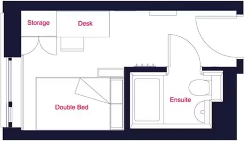 Chambre à louer dans un appartement en colocation à Cambridge