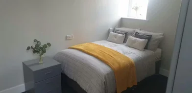 Prywatny pokój Fenham Hall Drive, Newcastle, NE4 9YH, obraz 49 49