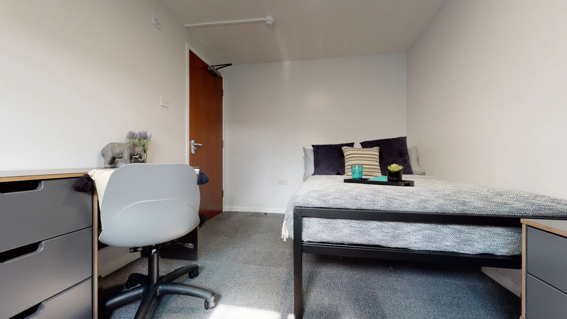 Bright private room in newcastle-upon-tyne