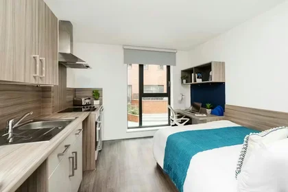 Quarto privado em Hollis Croft, Sheffield, S1 4BG, United Kingdom, imagem 23 de 26