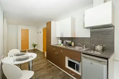 Quarto privado em Hollis Croft, Sheffield, S1 4BG, United Kingdom, imagem 26 de 26