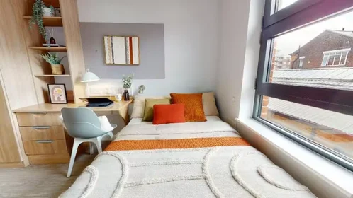 Chambre privée à iQ Steel 19 Pitt Street Sheffield S1 4DQ United Kingdom, image 12 de 54