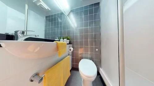 Chambre privée à iQ Steel 19 Pitt Street Sheffield S1 4DQ United Kingdom, image 15 de 54