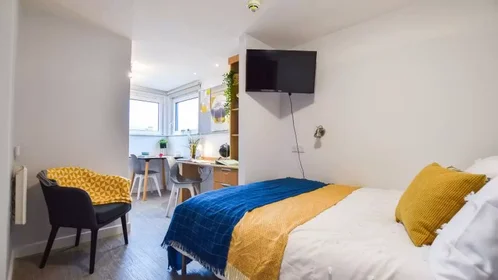 Chambre privée à iQ Steel 19 Pitt Street Sheffield S1 4DQ United Kingdom, image 16 de 54