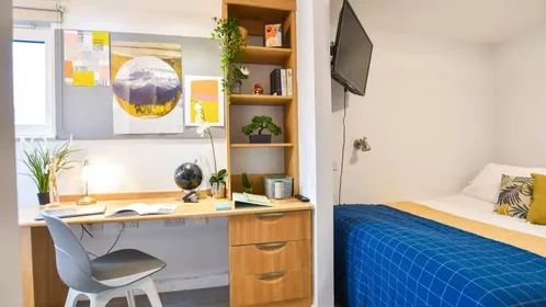 Chambre privée à iQ Steel 19 Pitt Street Sheffield S1 4DQ United Kingdom, image 17 de 54