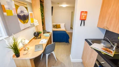 Chambre privée à iQ Steel 19 Pitt Street Sheffield S1 4DQ United Kingdom, image 19 de 54
