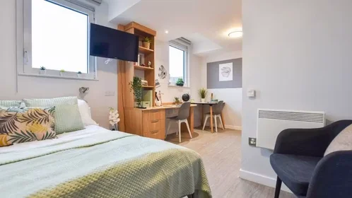 Chambre privée à iQ Steel 19 Pitt Street Sheffield S1 4DQ United Kingdom, image 22 de 54