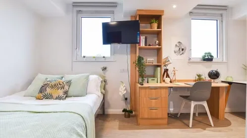 Chambre privée à iQ Steel 19 Pitt Street Sheffield S1 4DQ United Kingdom, image 23 de 54