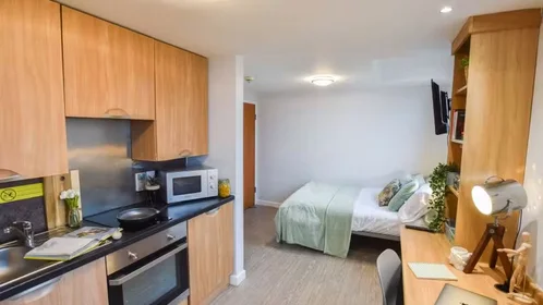 Chambre privée à iQ Steel 19 Pitt Street Sheffield S1 4DQ United Kingdom, image 25 de 54