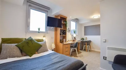 Chambre privée à iQ Steel 19 Pitt Street Sheffield S1 4DQ United Kingdom, image 27 de 54