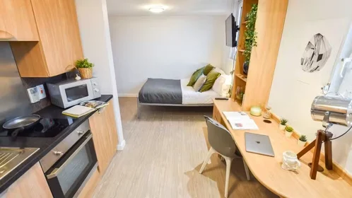 Chambre privée à iQ Steel 19 Pitt Street Sheffield S1 4DQ United Kingdom, image 28 de 54