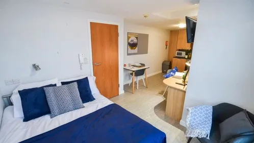 Chambre privée à iQ Steel 19 Pitt Street Sheffield S1 4DQ United Kingdom, image 31 de 54
