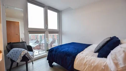 Chambre privée à iQ Steel 19 Pitt Street Sheffield S1 4DQ United Kingdom, image 32 de 54