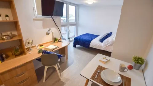 Chambre privée à iQ Steel 19 Pitt Street Sheffield S1 4DQ United Kingdom, image 33 de 54