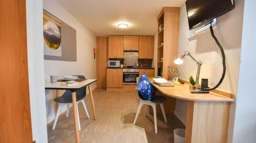 Chambre privée à iQ Steel 19 Pitt Street Sheffield S1 4DQ United Kingdom, image 34 de 54