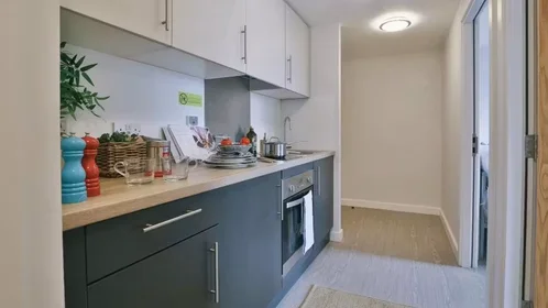 Chambre privée à iQ Steel 19 Pitt Street Sheffield S1 4DQ United Kingdom, image 41 de 54
