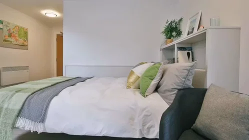 Chambre privée à iQ Steel 19 Pitt Street Sheffield S1 4DQ United Kingdom, image 44 de 54