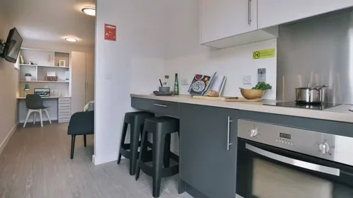 Chambre privée à iQ Steel 19 Pitt Street Sheffield S1 4DQ United Kingdom, image 47 de 54