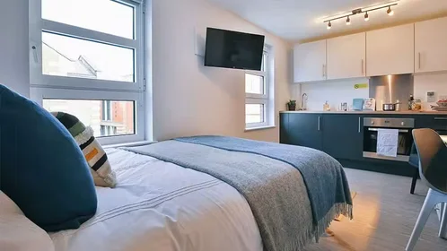 Chambre privée à iQ Steel 19 Pitt Street Sheffield S1 4DQ United Kingdom, image 49 de 54
