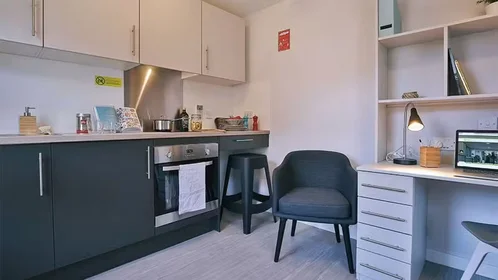 Chambre privée à iQ Steel 19 Pitt Street Sheffield S1 4DQ United Kingdom, image 53 de 54
