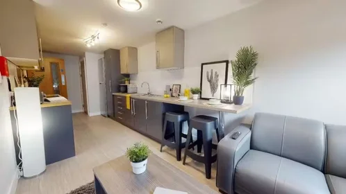 Chambre privée à iQ Steel 19 Pitt Street Sheffield S1 4DQ United Kingdom, image 9 de 54