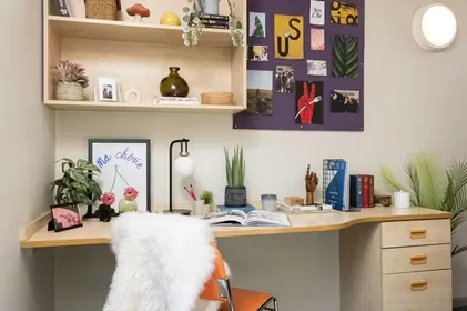 Chambre privée à Leadmill Road, S1 4SG, image 13 de 17