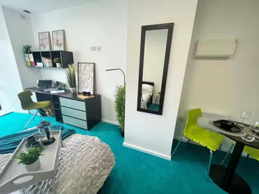 Chambre privée à Egerton St, Broomhall, Sheffield S1 4JX, United Kingdom, image 13 de 49