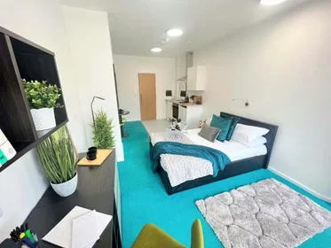 Chambre privée à Egerton St, Broomhall, Sheffield S1 4JX, United Kingdom, image 14 de 49