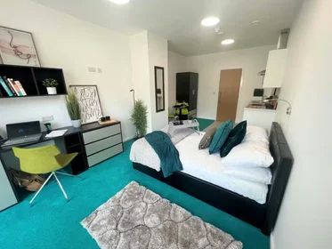 Chambre privée à Egerton St, Broomhall, Sheffield S1 4JX, United Kingdom, image 15 de 49