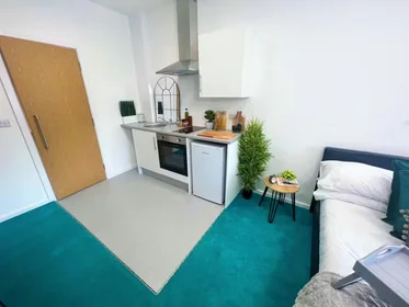 Chambre privée à Egerton St, Broomhall, Sheffield S1 4JX, United Kingdom, image 16 de 49
