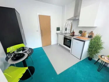 Chambre privée à Egerton St, Broomhall, Sheffield S1 4JX, United Kingdom, image 17 de 49