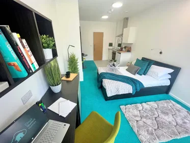 Chambre privée à Egerton St, Broomhall, Sheffield S1 4JX, United Kingdom, image 18 de 49