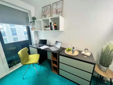 Chambre privée à Egerton St, Broomhall, Sheffield S1 4JX, United Kingdom, image 19 de 49
