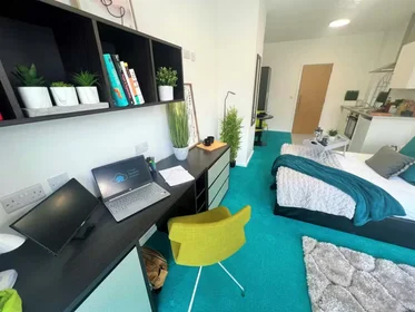 Chambre privée à Egerton St, Broomhall, Sheffield S1 4JX, United Kingdom, image 20 de 49