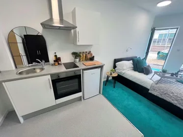 Chambre privée à Egerton St, Broomhall, Sheffield S1 4JX, United Kingdom, image 21 de 49