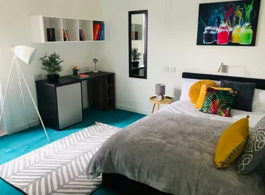 Chambre privée à Egerton St, Broomhall, Sheffield S1 4JX, United Kingdom, image 25 de 49