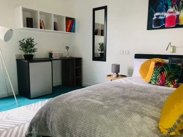 Chambre privée à Egerton St, Broomhall, Sheffield S1 4JX, United Kingdom, image 26 de 49