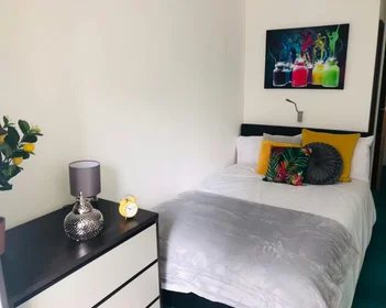 Chambre privée à Egerton St, Broomhall, Sheffield S1 4JX, United Kingdom, image 36 de 49