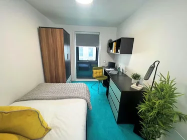Chambre privée à Egerton St, Broomhall, Sheffield S1 4JX, United Kingdom, image 45 de 49