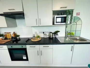 Chambre privée à Egerton St, Broomhall, Sheffield S1 4JX, United Kingdom, image 49 de 49