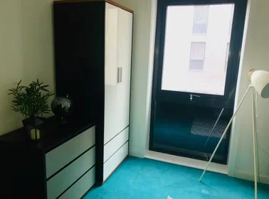 Chambre privée à Egerton St, Broomhall, Sheffield S1 4JX, United Kingdom, image 8 de 49