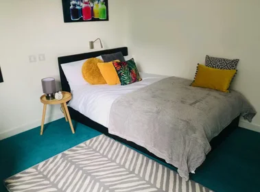Chambre privée à Egerton St, Broomhall, Sheffield S1 4JX, United Kingdom, image 10 de 49