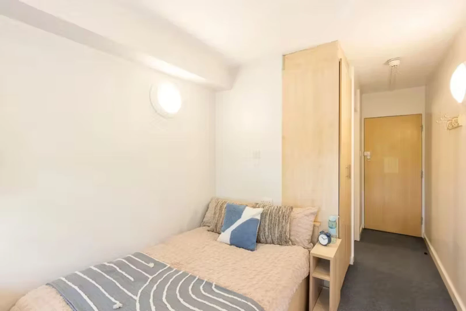 Affordable room for students with ample lighting in 