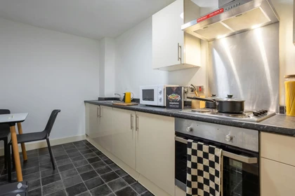 私人房间 在 60 Grafton St, Manchester M13 9NU, United Kingdom, 47的图像13