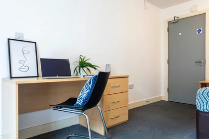 Privatzimmer in der 60 Grafton St, Manchester M13 9NU, United Kingdom, bild 43 von 47