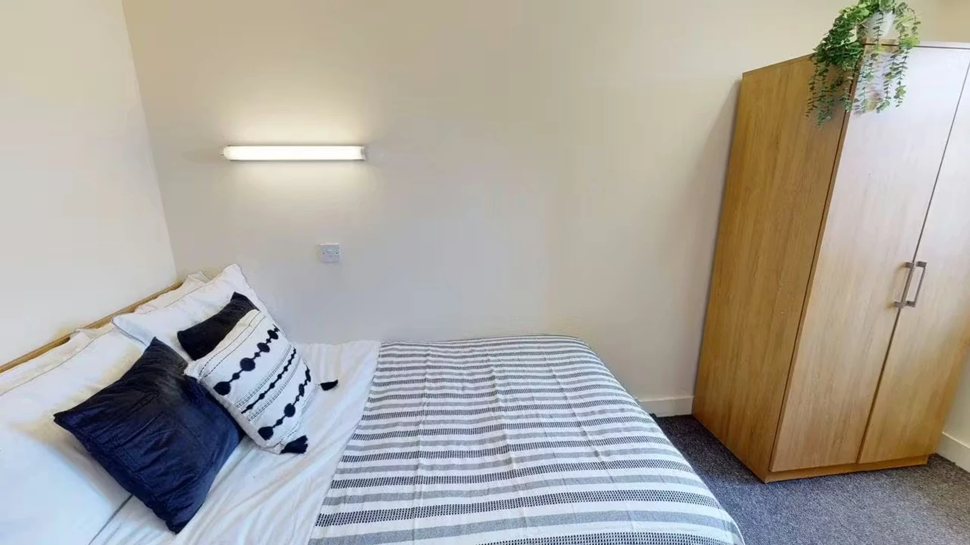 Chambre d'étudiant bon marché à proximité du campus dans